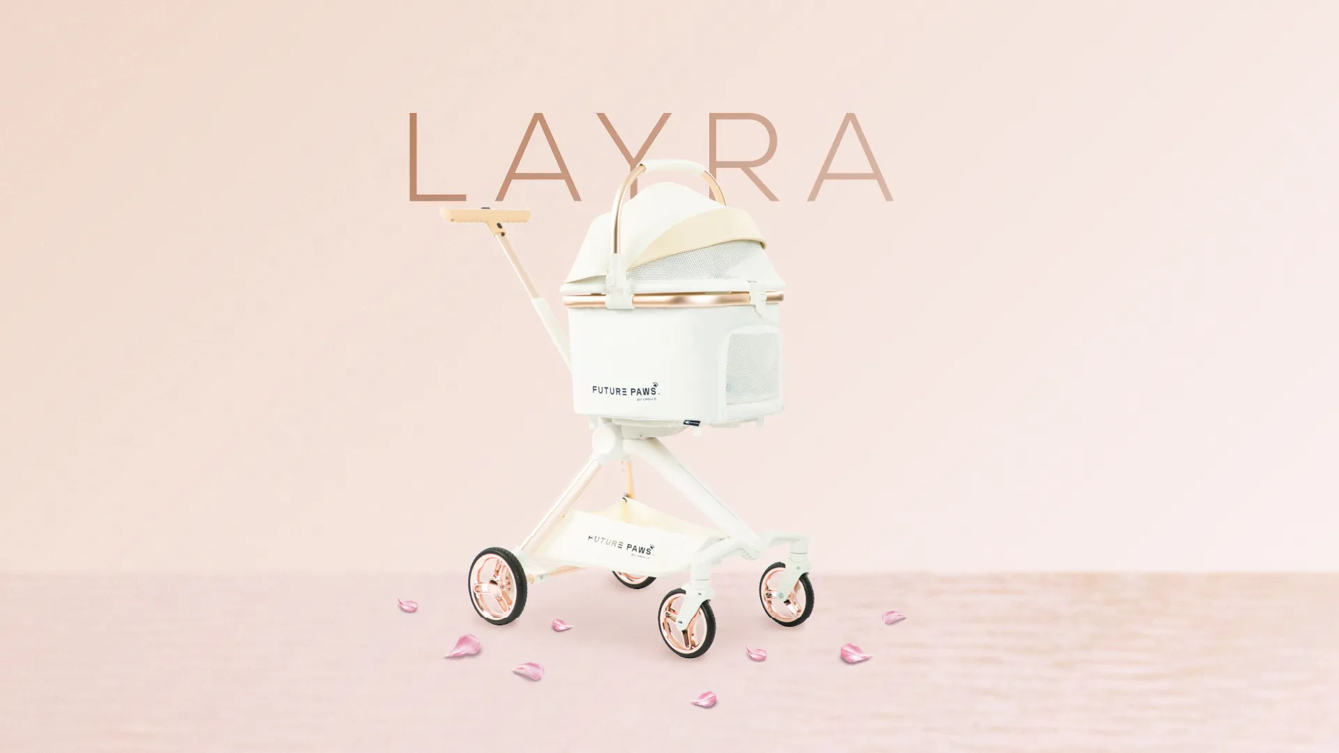 fp layra banner desktop