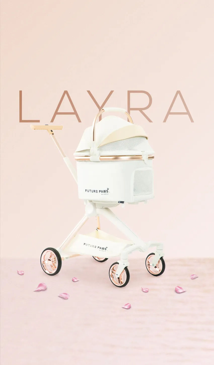 fp layra banner mobile